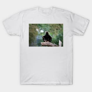 Eagle Pose T-Shirt